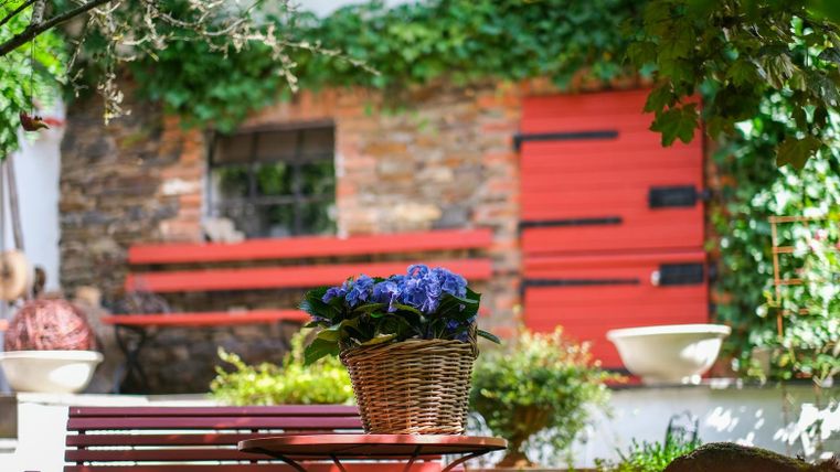 A cozy garden with a blooming plant in a basket and a red wall. In the background, a bench and a red gate can be seen.