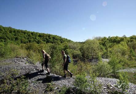 Zwei Wanderer mit Rucks&auml;cken durchqueren eine gr&uuml;ne, bewaldete Schieferlandschaft unter strahlend blauem Himmel., &copy; Laura Rinneburger