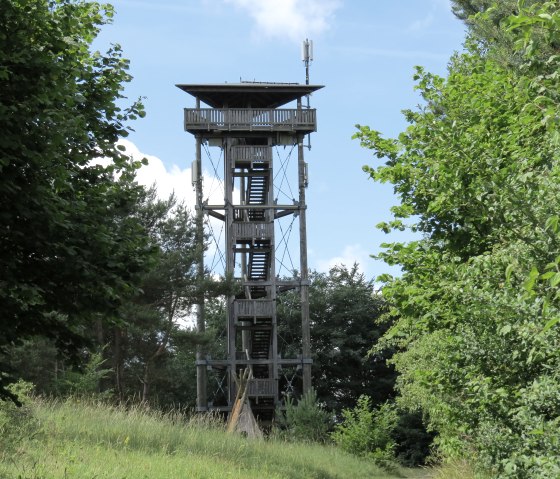 Houten uitkijktoren op het platteland, omringd door bomen en weiden, onder een blauwe hemel., &copy; Laura Rinneburger