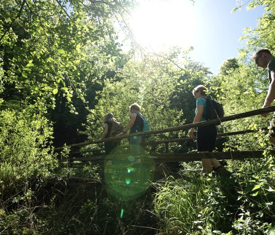 Four hikers cross a small wooden bridge in a dense, sun-drenched forest. The scene appears peaceful and close to nature., &copy; Laura Rinneburger