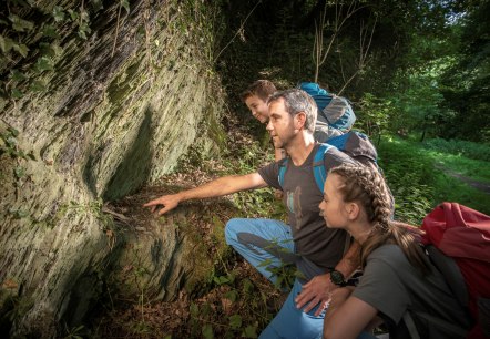 Drei Wanderer betrachten interessiert eine Felswand im Wald. Sie tragen Rucksäcke und sind von üppigem Grün umgeben., © kappest_remet