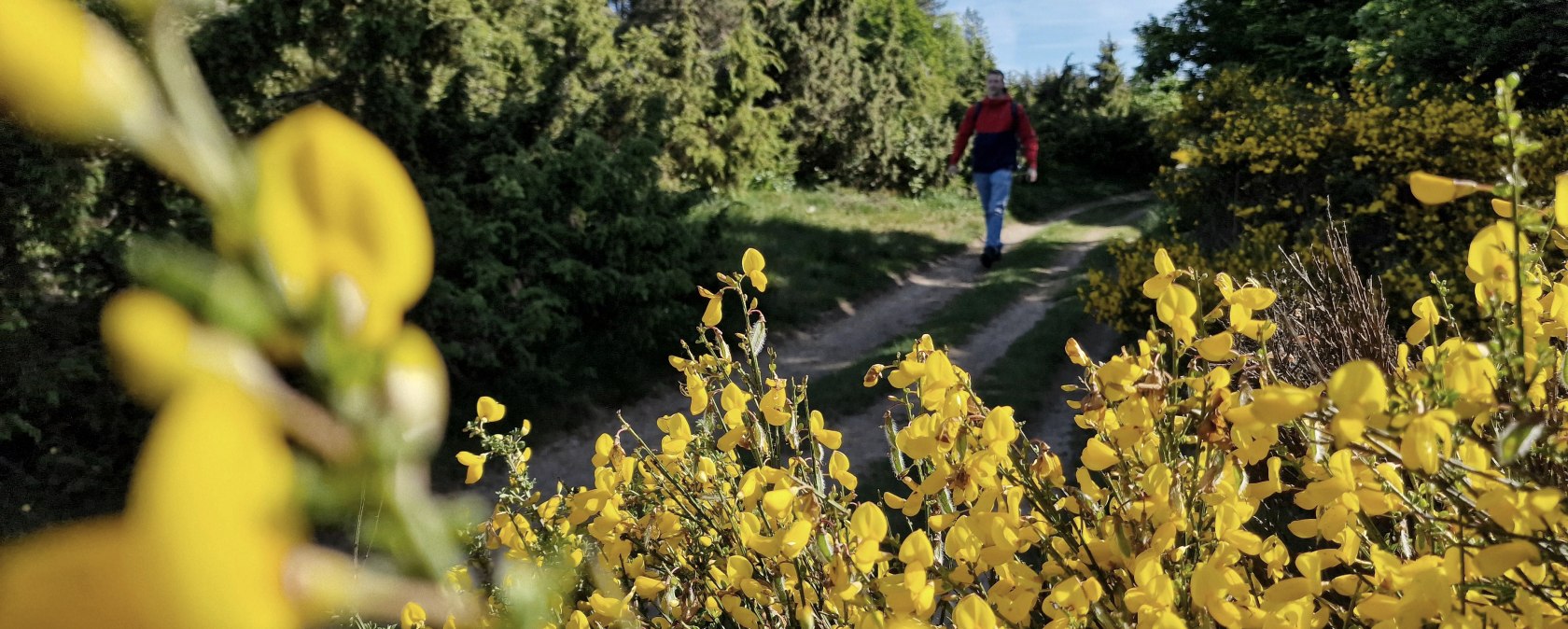 Wandern in Arft, &copy; Laura Rinneburger