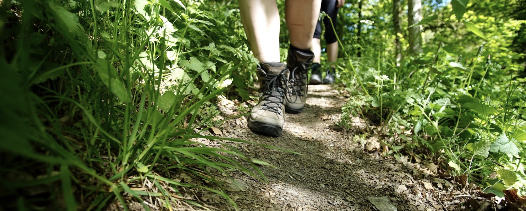 Wanderer unterwegs auf einem bewachsenen Pfad