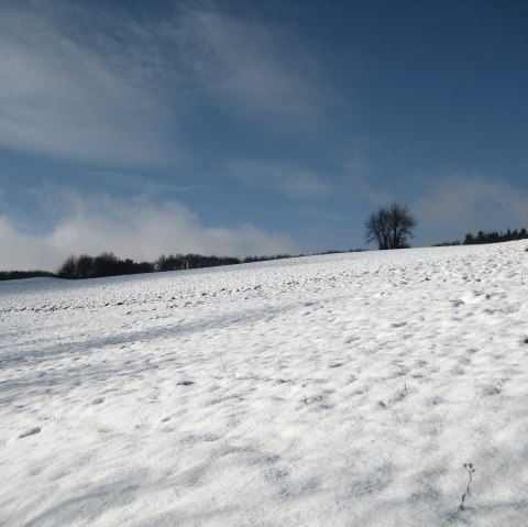 Wintersport in Arft