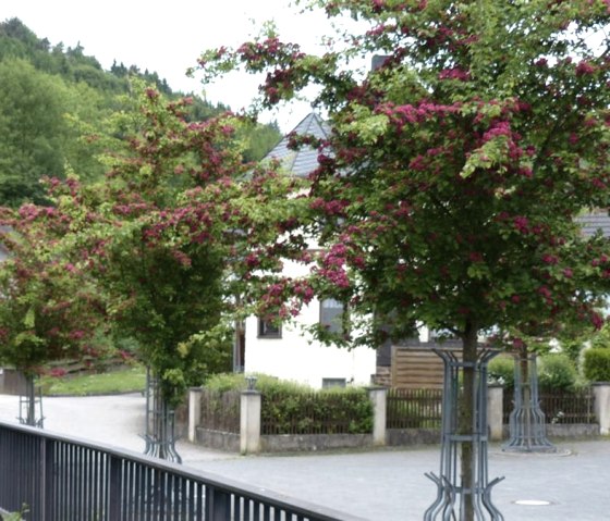 Der Dorfplatz in Acht, &copy; Foto: Verbandsgemeinde Vordereifel, Quelle: Touristik-B&uuml;ro Vordereifel