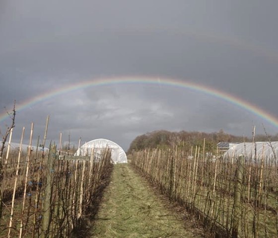 Rosen- und Beerengarten 4, &copy; https://www.facebook.com/Rosen-und-Beerengarten-11