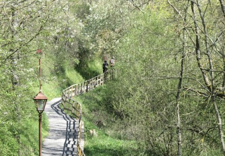 Radfahrer auf dem Elztalradweg unterwegs nach Monreal