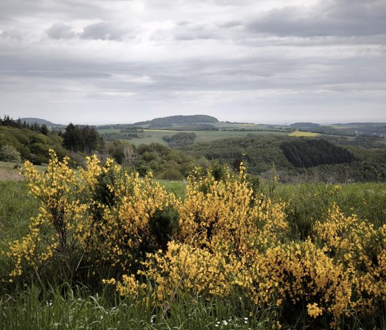 Environnement au printemps