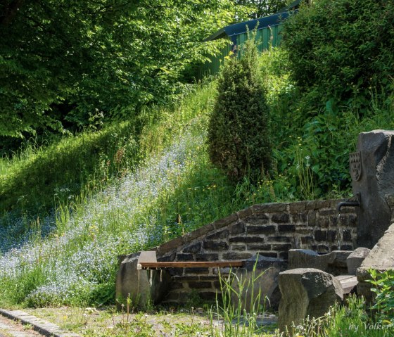 Une source Le long du chemin, &copy; Volker Windheuser
