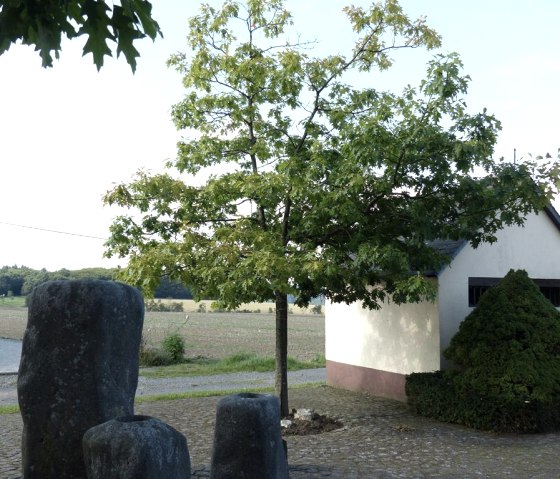 Brunnen der Ortsgemeinde Anschau, &copy; Foto: Verbandsgemeinde Vordereifel, Quelle: Touristik-B&uuml;ro Vordereifel