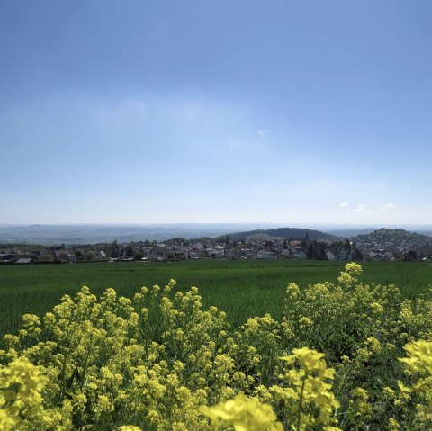 Blick auf Ettringen vom Hochsimmer, © Foto: Svenja Schule-Entrup, Quelle: Touristik-Büro Vordereifel