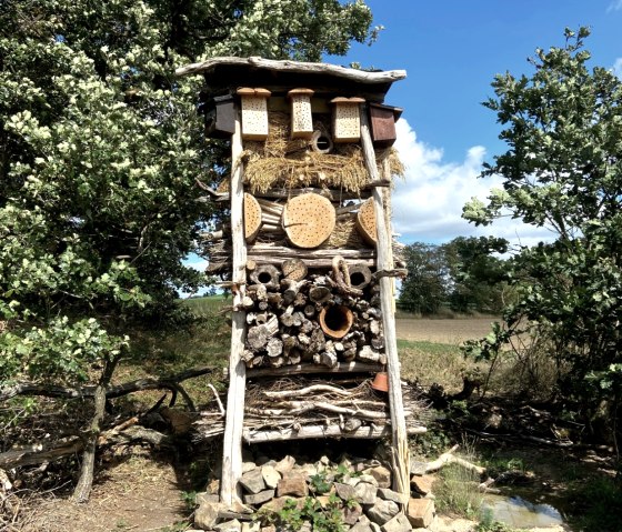 Tower of life in the area of the former witch burning, © Ortsgemeinde Nachtsheim