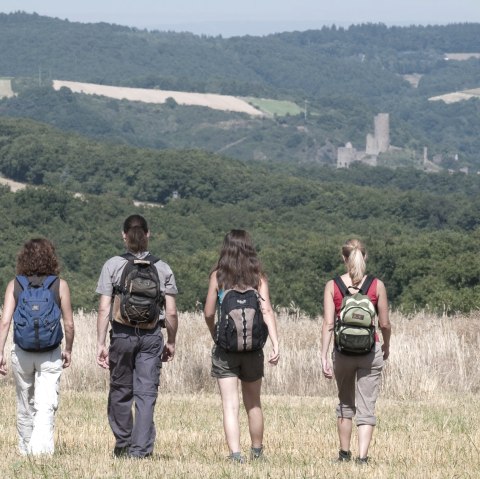 Vier Wanderer mit Rucks&auml;cken gehen &uuml;ber ein Feld. Im Hintergrund ist die Burgruine Monreal zu sehen, umgeben von bewaldeten H&uuml;geln., &copy; Traumpfade/Kappest
