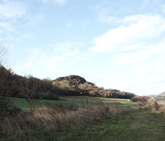 Unterwegs auf dem Vulkanpfad, &copy; Foto: Laura Rinneburger, Quelle: Touristik-B&uuml;ro Vordereifel