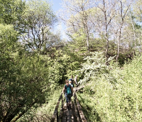 A narrow wooden bridge leads through dense greenery. Hikers cross the bridge under a clear blue sky., &copy; Laura Rinneburger