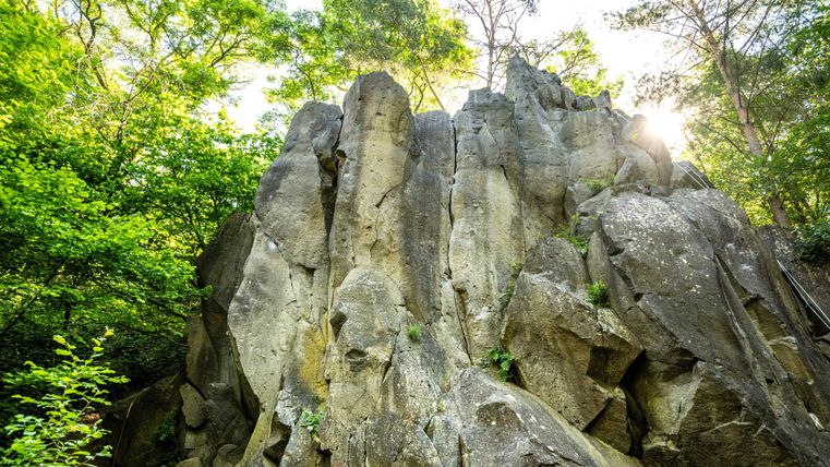 Eine beeindruckende Felsformation umgeben von Bäumen im Wald. Die Sonne scheint durch die Blätter und beleuchtet die Felsen.