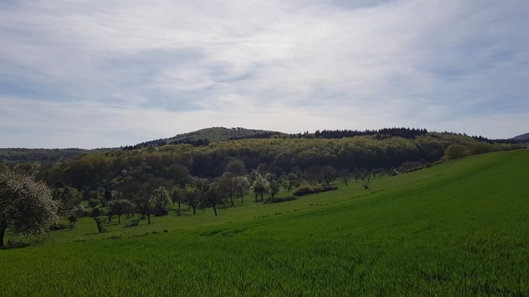 A green meadow with gentle hills in the background. The sky is partially cloudy and it looks peaceful and rural.