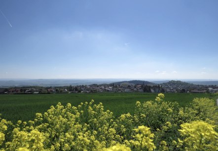 Blick auf Ettringen vom Hochsimmer, &copy; Foto: Svenja Schule-Entrup, Quelle: Touristik-B&uuml;ro Vordereifel