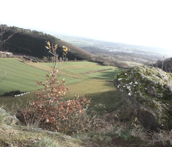 Ausblick vom Bellerberg, &copy; Foto: Laura Rinneburger, Quelle: Touristik-B&uuml;ro Vordereifel
