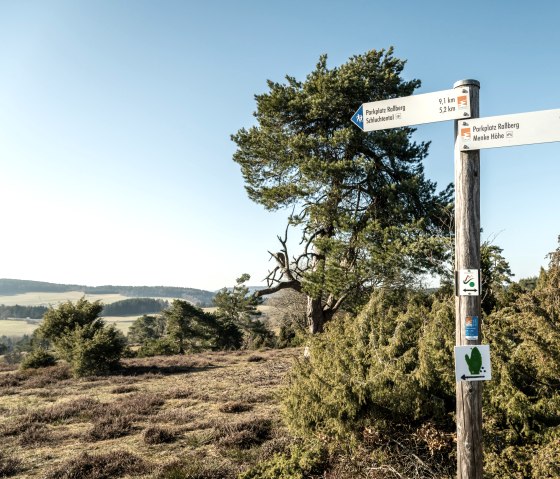 Wegweiser auf dem Traumpfad Bergheidenweg in einer Heidelandschaft mit Bäumen und weitem Himmel., © Eifel Tourismus GmbH, D. Ketz