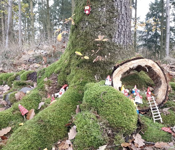 Ein kleines Wichtelheim im Moos, &copy; Svenja Schulze-Entrup