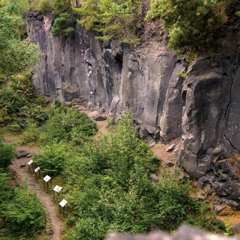 Blick ins Kottenheimer Winfeld, © Foto: Laura Rinneburger, Quelle: Touristik-Büro Vordereifel