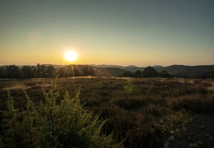 Sonnenaufgang in Langscheid, © Laura Rinneburger