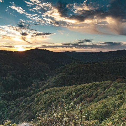 Natur pur, © Foto: Laura Rinneburger, Quelle: Touristik-Büro Vordereifel