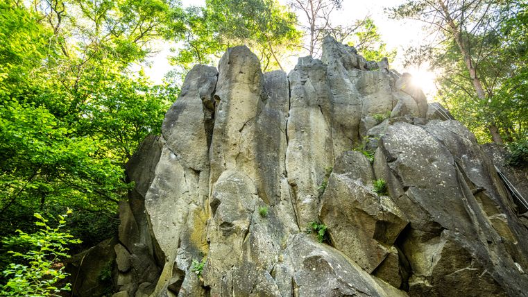 Large rock formation in the forest with sunlight in the background.