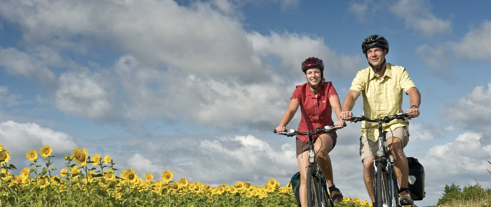 Mit dem Fahrrad vorbei an Sonneblumenfeldern