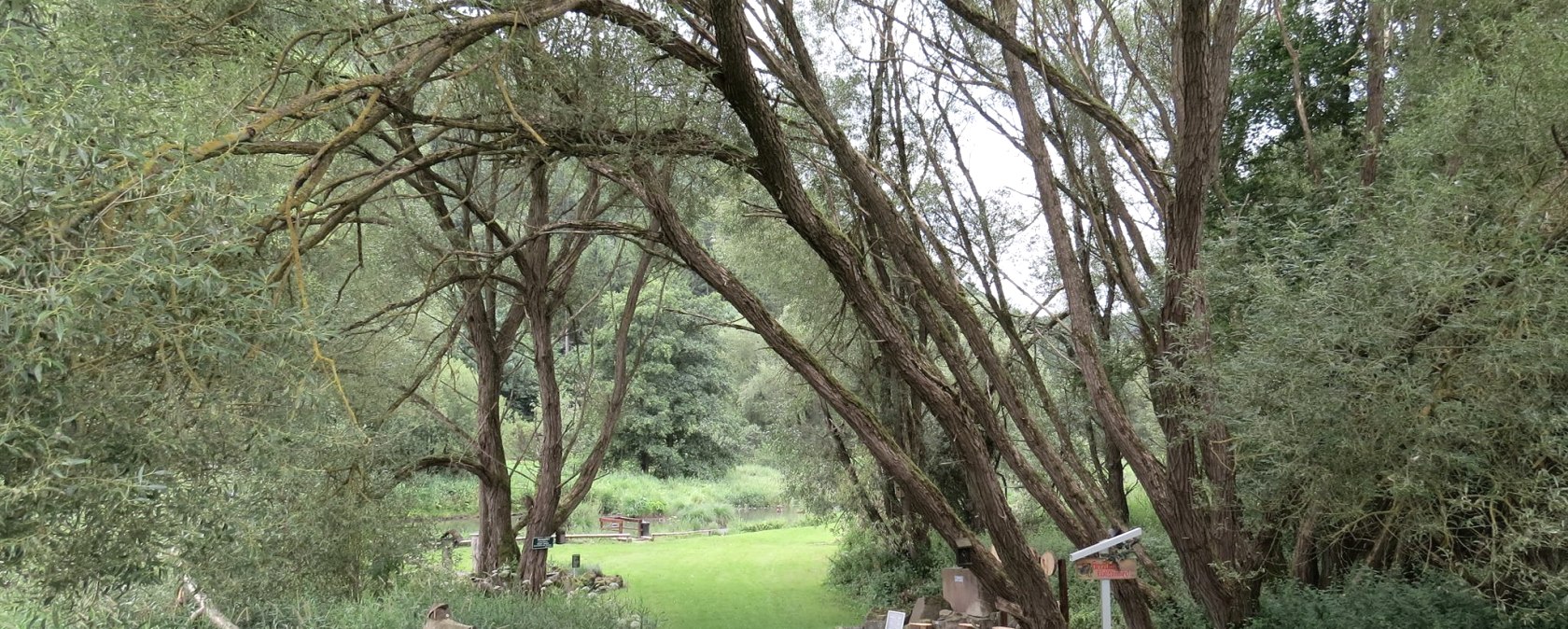 Der Morswiesener Weiher, &copy; Foto: Svenja Schulze-Entrup, Quelle: Touristik-B&uuml;ro Vordereifel