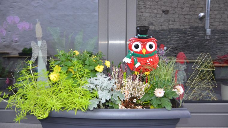 A colorful flower box with various plants and a decorative owl. The owl is wearing a top hat and is a cheerful eye-catcher.