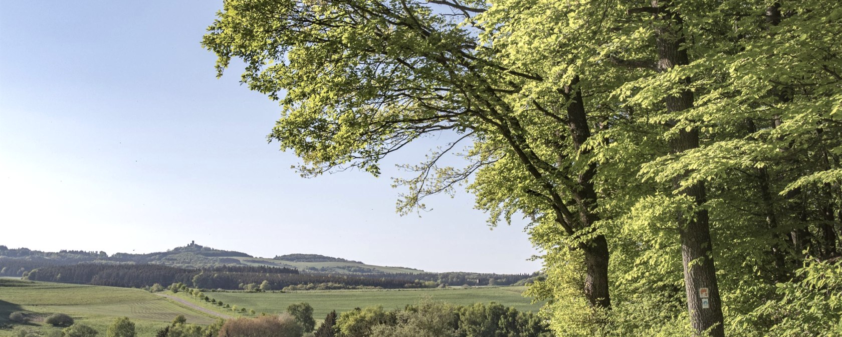Wandern auf dem Traumpf&auml;dchen Eifelturmpfad Boos, &copy; Klaus-Peter Kappest/REMET