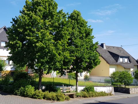 Eine sonnige Straße mit zwei großen grünen Bäumen und modernen Häusern im Hintergrund. Der Himmel ist blau und klar.
