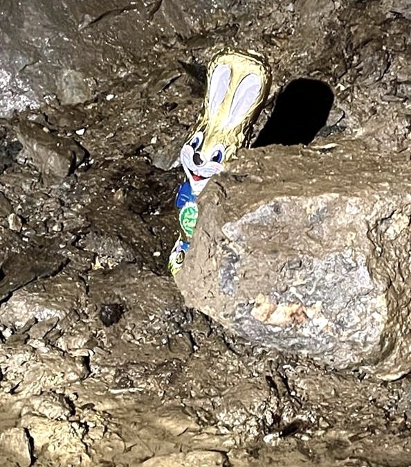 Osterhase, &copy; Dr. Volker Reppke