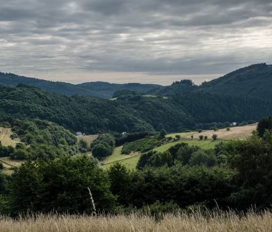 Gr&uuml;ne H&uuml;gel und W&auml;lder unter einem bew&ouml;lkten Himmel, typisch f&uuml;r eine malerische Wanderlandschaft., &copy; Volker Windheuser