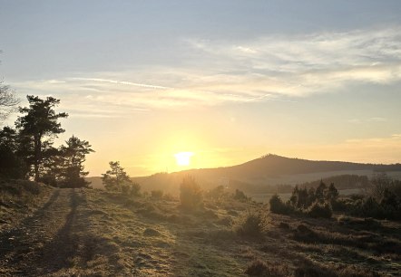 Aussicht aus der Region