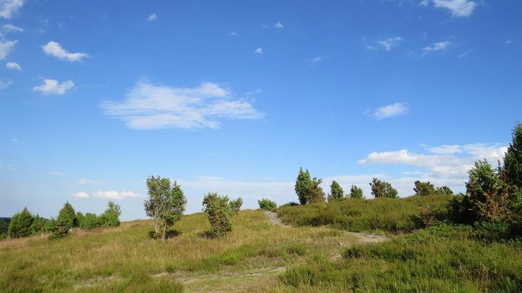 Eine weite Landschaft mit grünen Wiesen und vereinzelten Bäumen. Der Himmel ist klar und blau mit einigen Wolken.