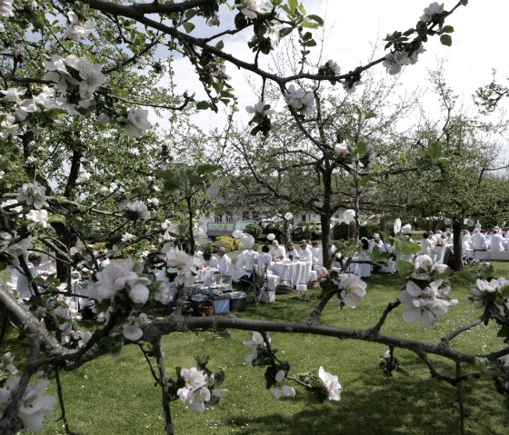 &Auml;ppelbl&ouml;tefest Plakat, &copy; T. Hamann