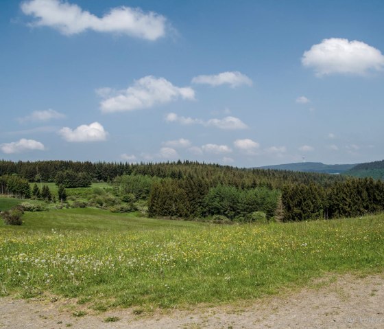 Prairies vertes et ciel bleu, © Volker Windheuser
