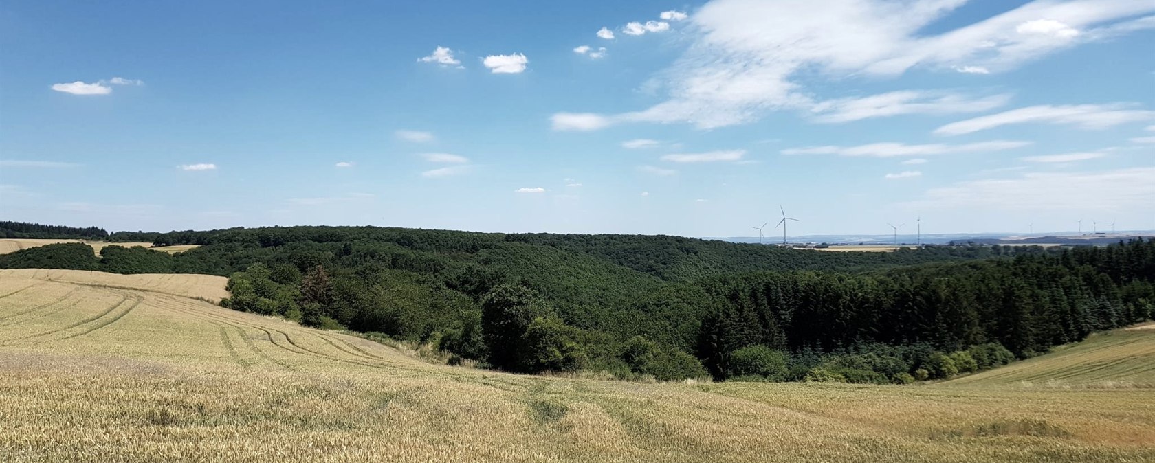 Wiesen und Felder rund um Reudelsterz, © Foto: Svenja Schulze-Entrup, Quelle: Touristik-Büro Vordereifel
