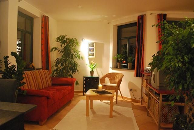 A cozy living room with a red sofa and a small table. Green plants bring a vibrant atmosphere to the room.