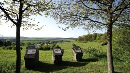 Vulkanparkinfotafeln mit Blick auf Boos, © Foto: Laura Rinneburger, Quelle: Touristik-Büro Vordereifel