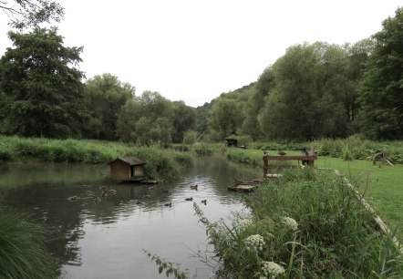 Willkommen am Morswiesener Weiher, © Foto: Svenja Schulze-Entrup, Quelle: Touristik-Büro Vordereifel