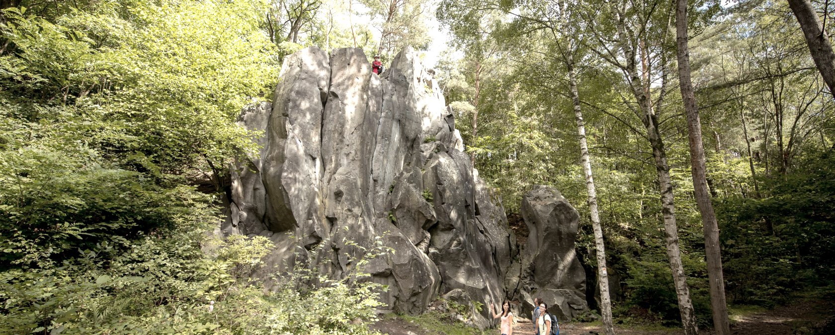 Kottenheimer Winfeld, © Vulkanpark, Martin Christ