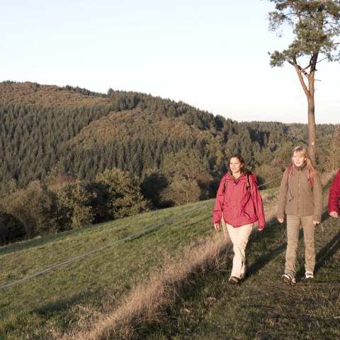 Drei Frauen wandern auf einem Pfad durch eine herbstliche Landschaft. Im Hintergrund sind bewaldete H&uuml;gel zu sehen., &copy; Traumpfade/Kappest