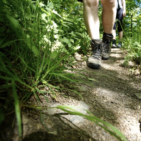 Wanderer unterwegs auf einem bewachsenen Pfad
