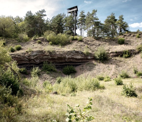 Ein Aussichtsturm steht auf einem bewaldeten H&uuml;gel. Im Vordergrund sind gr&uuml;ne Str&auml;ucher und eine geologische Formation sichtbar., &copy; Vulkanpark GmbH, Martin Christ