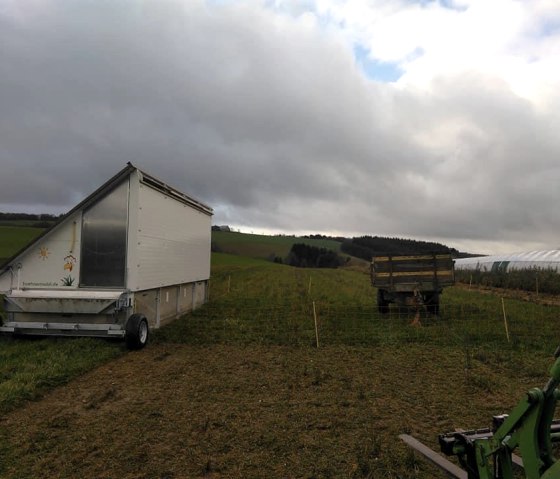 Rosen- und Beerengarten 2, &copy; https://www.facebook.com/Rosen-und-Beerengarten-11