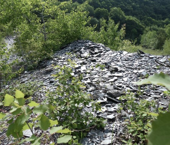 Mine d'ardoise à Kehrig, © Foto: Svenja Schulze-Entrup, Quelle: Touristik-Büro Vordereifel